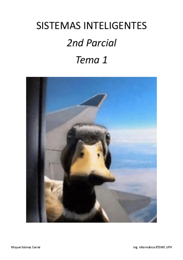 Miniatura del documento SIN-Bloque-2-Tema-1.pdf