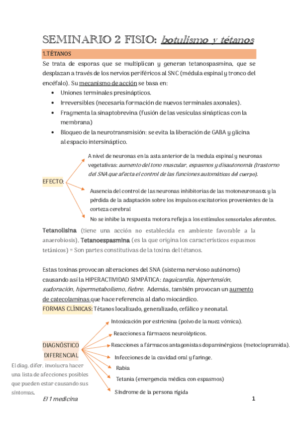 Miniatura del documento Seminario-2-fisio.pdf