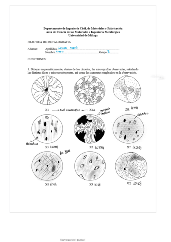 Miniatura del documento Practicas Ciencias de los Materiales.pdf