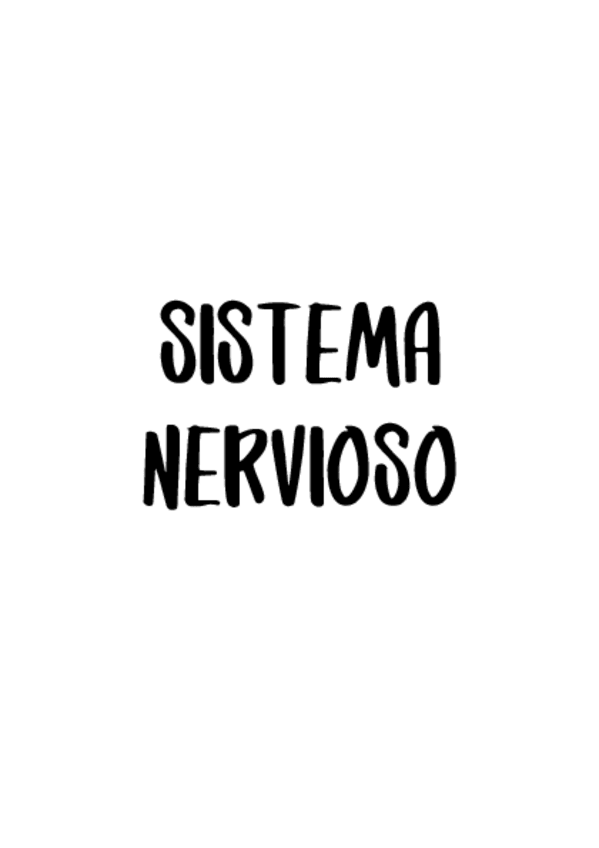 Miniatura del documento Dibujos-Anato-Neuro-1.pdf