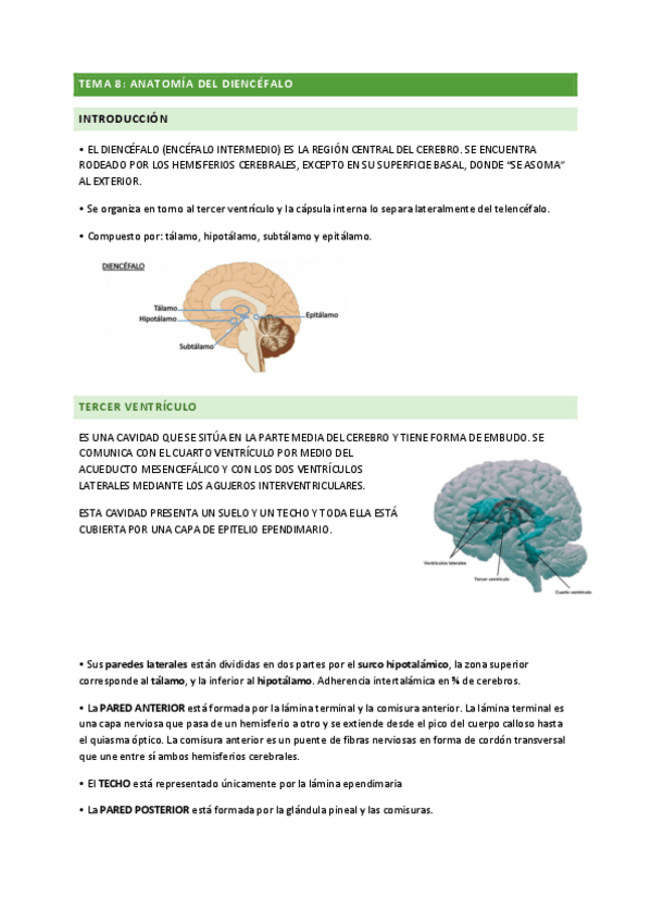Miniatura del documento TEMA-8-antatomia.pdf