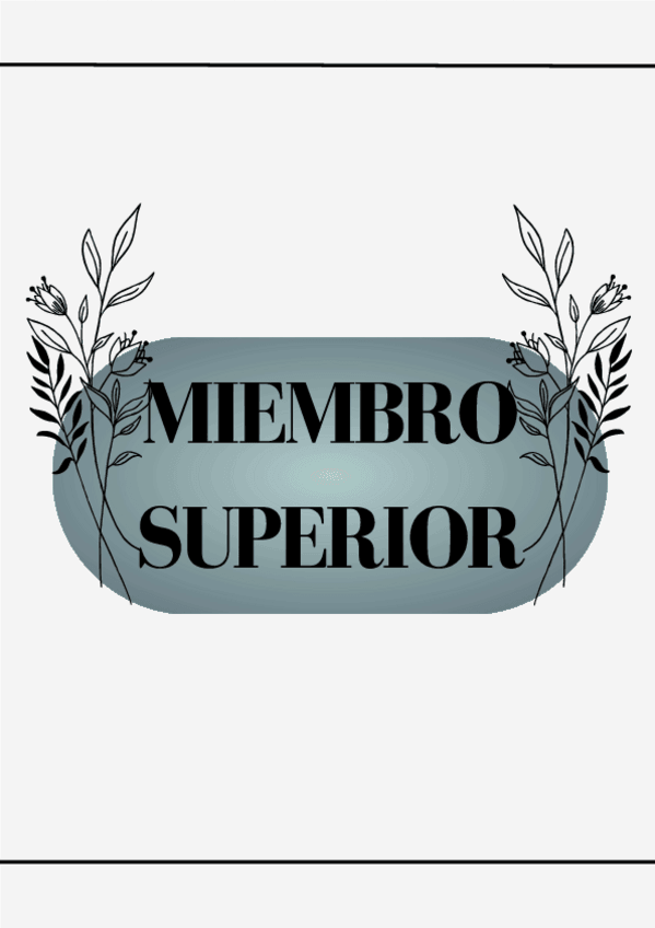 Miniatura del documento apuntes-miembro-superior-primera-parte-1-de-2.pdf