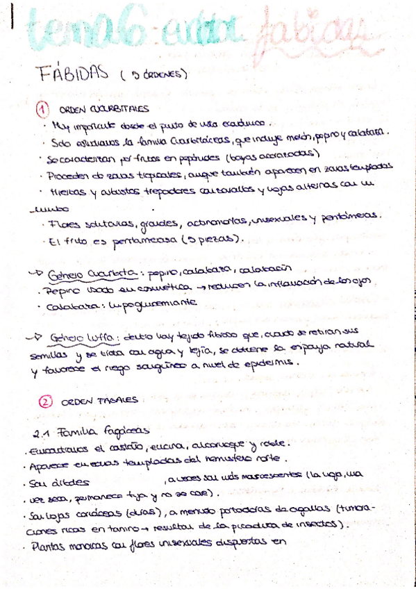 Miniatura del documento tema 6. fábidas.pdf