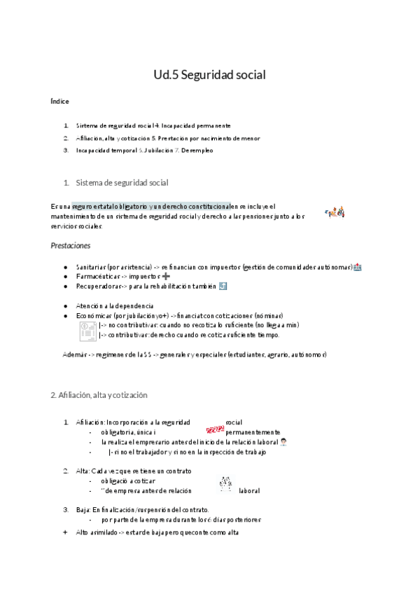 Miniatura del documento Copia-traducida-de-Seguridad-social.pdf