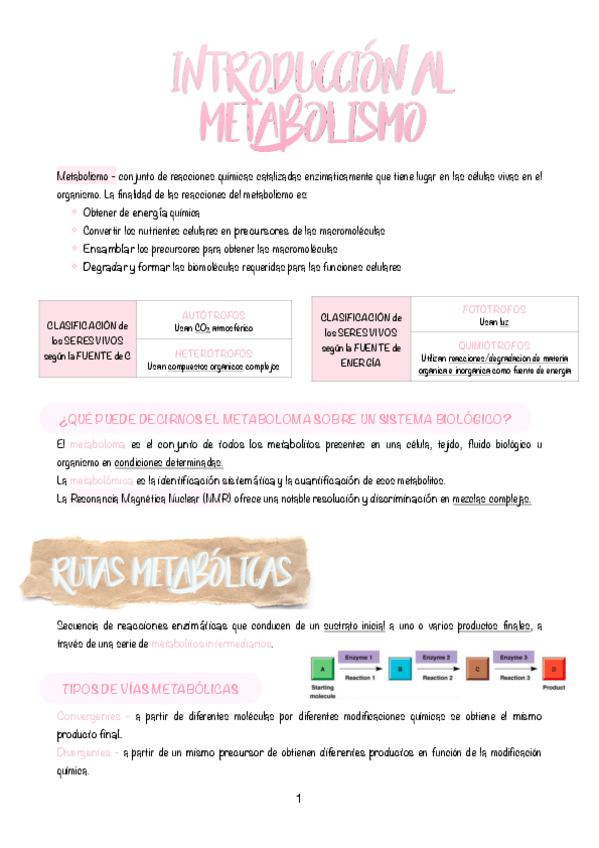 Miniatura del documento 1.-Introduccion-al-metabolismo.pdf