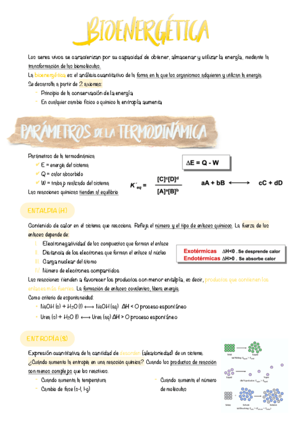 Miniatura del documento 2.-Bioenergetica.pdf