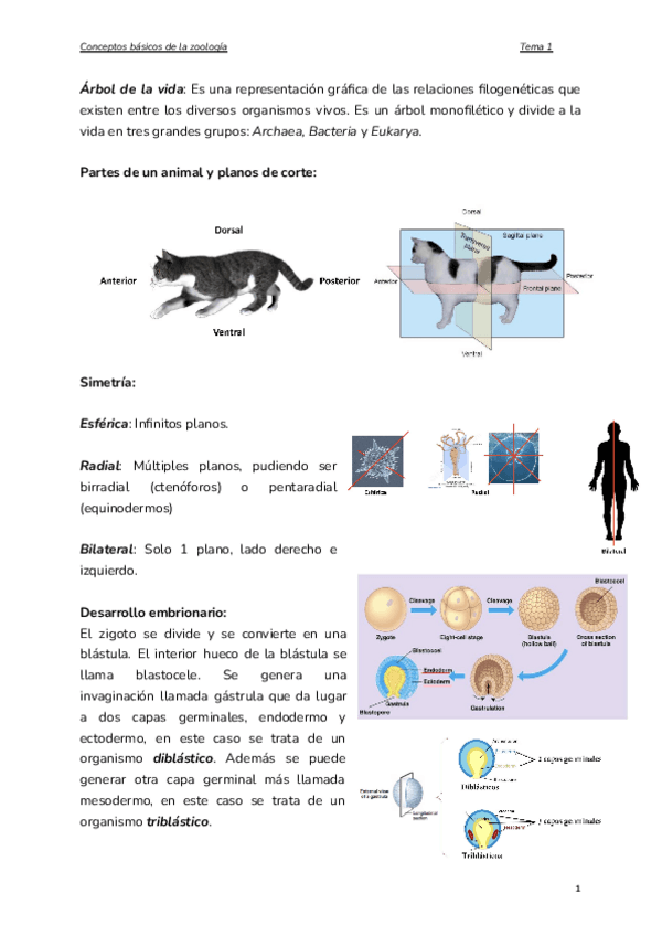 Miniatura del documento Tema-1.-Conceptos-basicos.pdf
