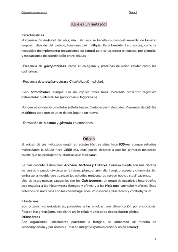 Miniatura del documento Tema-2.-Origen-de-los-metazoos.pdf