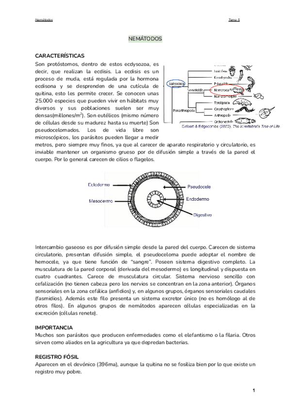 Miniatura del documento Tema-5.-Nematodos.pdf