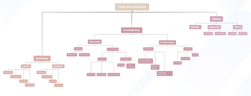 Miniatura del documento Esquema-de-mutaciones-Herencia.pdf