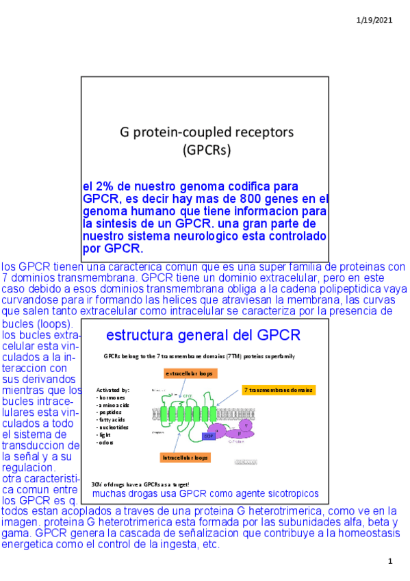 Miniatura del documento TEMA-2.2-GPCRs.pdf