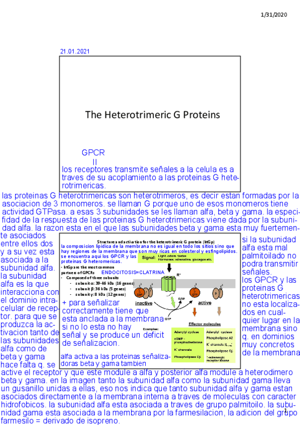 Miniatura del documento TEMA-2.3-Heterotrimeric-G-proteins.pdf