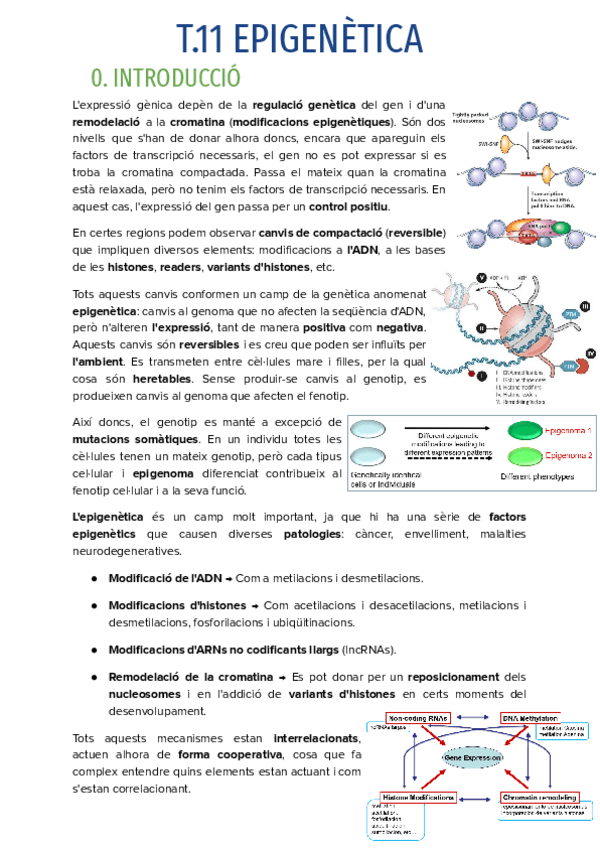 Miniatura del documento T.11-EPIGENETICA.pdf