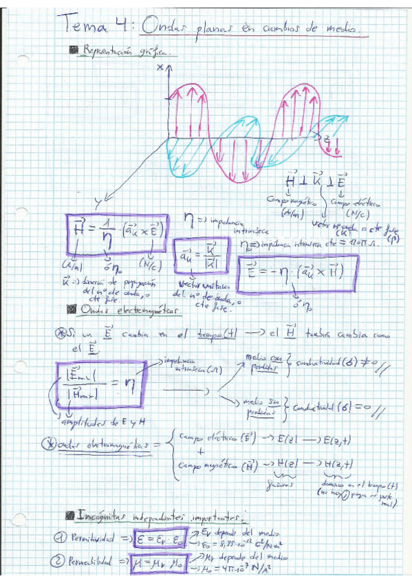 Miniatura del documento Campos_y_Ondas.pdf
