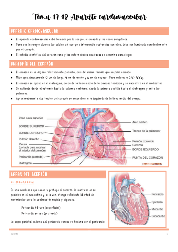 Miniatura del documento Tema-17-18-Aparato-cardiovascular.pdf