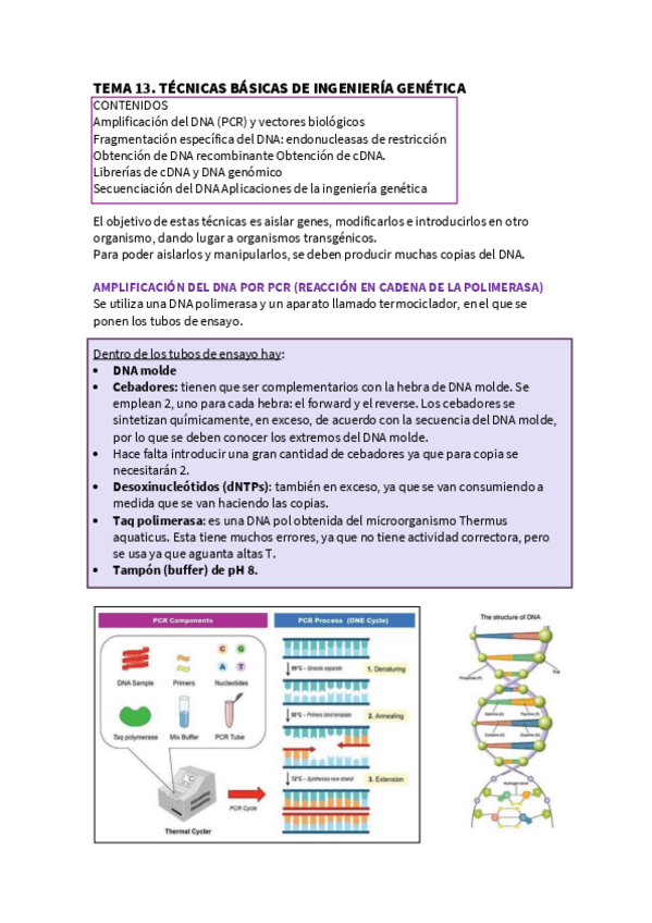 Miniatura del documento TEMA-13.-INGENIERIA-GENETICA.pdf