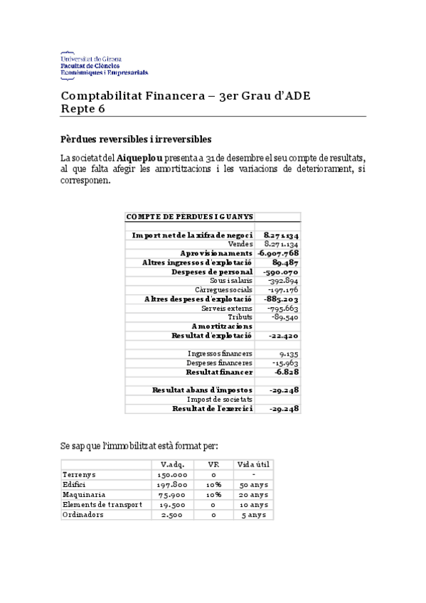 Miniatura del documento REPTE-6-Amortitzacions.pdf