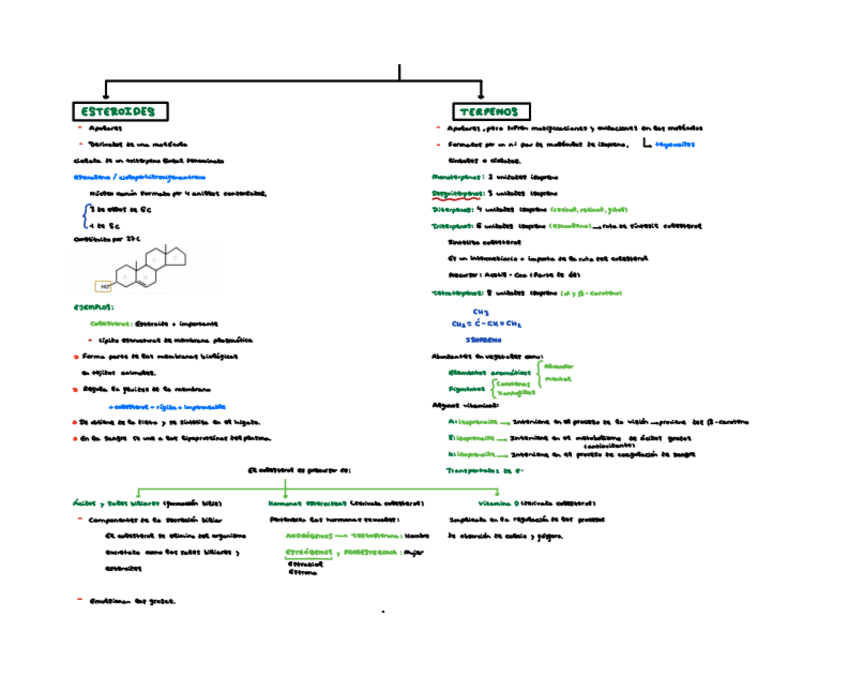 Miniatura del documento Lipidos-insaponificablesTema-3-BioquimicaBlancaSomalo.pdf