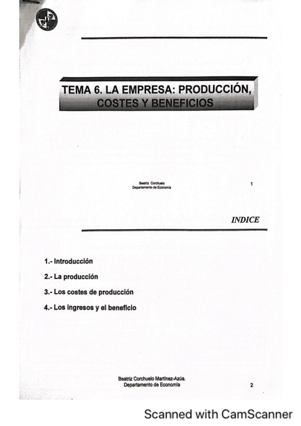 Miniatura del documento tema-6-micro.pdf