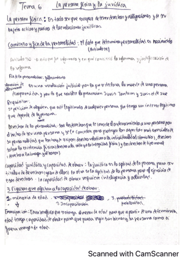 Miniatura del documento apuntes-tema-6.pdf