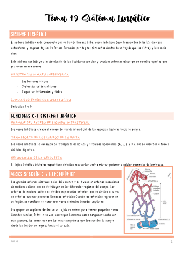 Miniatura del documento Tema-19-Sistema-Linfatico.pdf