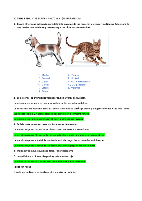 Miniatura del documento EXAMEN-ANATOMIA-I.pdf