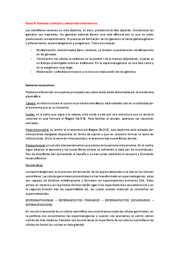 Miniatura del documento Resumen-histo-animal.pdf