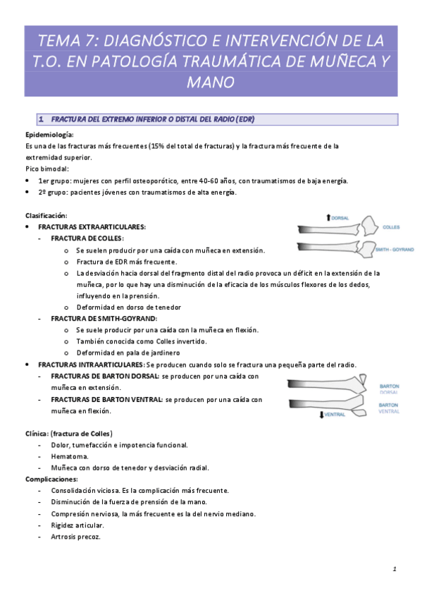 Miniatura del documento TEMA-7.pdf