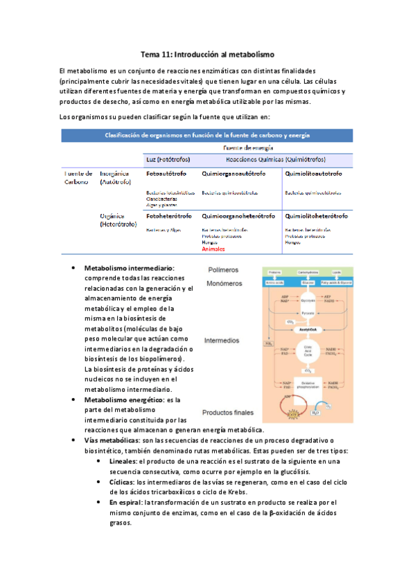 Miniatura del documento TEMA-11.pdf