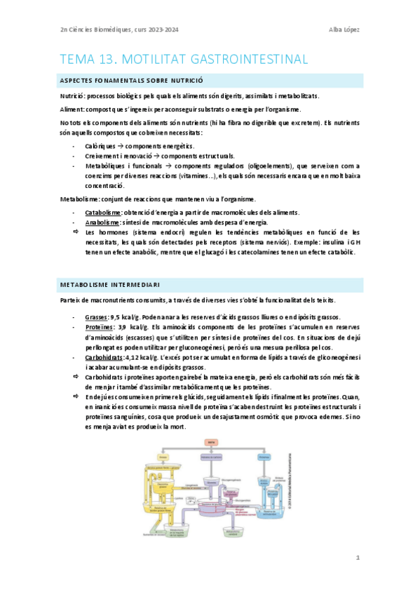 Miniatura del documento Tema-13.-Motilitat-gastrointestinal.pdf