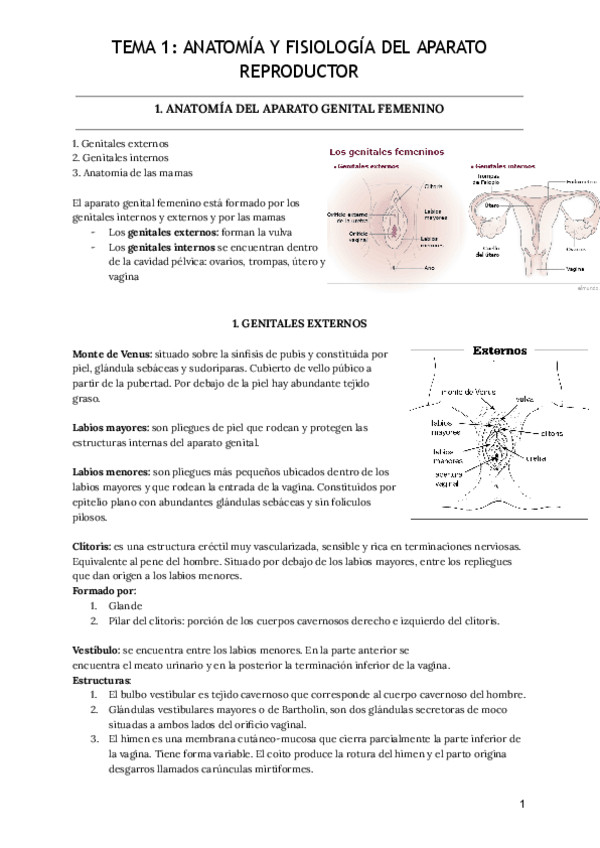 Miniatura del documento Tema-1-Anatomia-y-fisiologia-del-aparato-reproductor.pdf