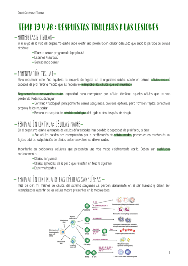 Miniatura del documento TEMA-19-20-BIOLOGIA.pdf