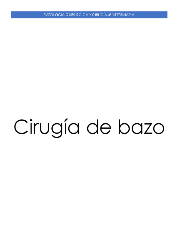 Miniatura del documento Cirugia-de-bazo.pdf