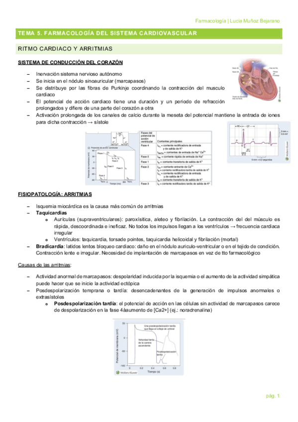 Miniatura del documento TEMA-5.pdf