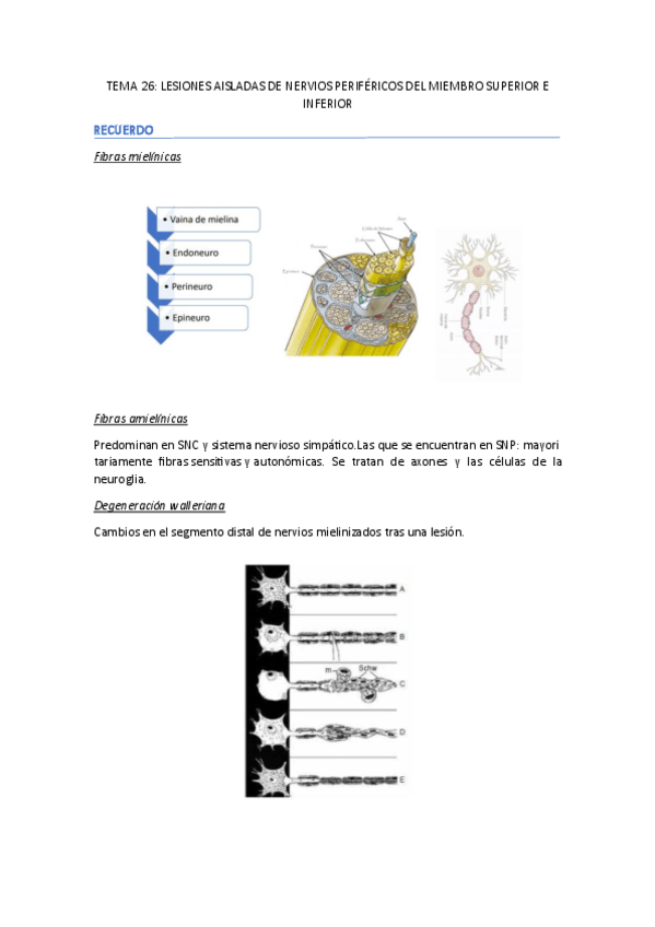 Miniatura del documento TEMA-26-FESC-II.pdf
