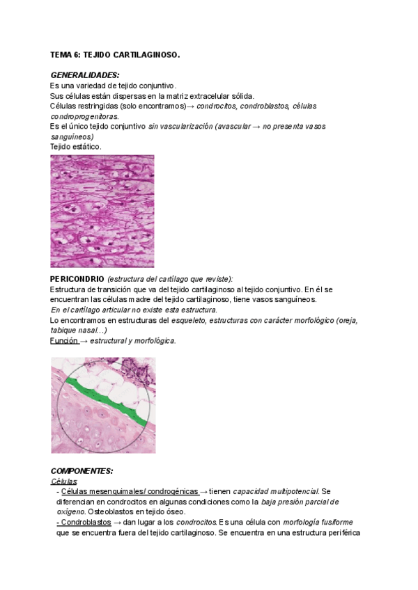 Miniatura del documento TEMA-6-TEJIDO-CARTILAGINOSO.pdf