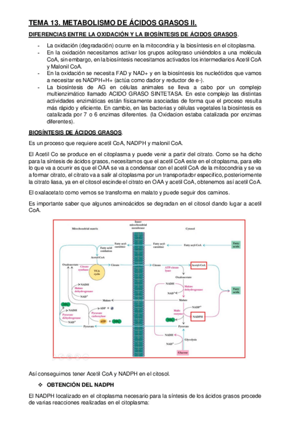 Miniatura del documento Tema-13-IIFundamentosBq.pdf