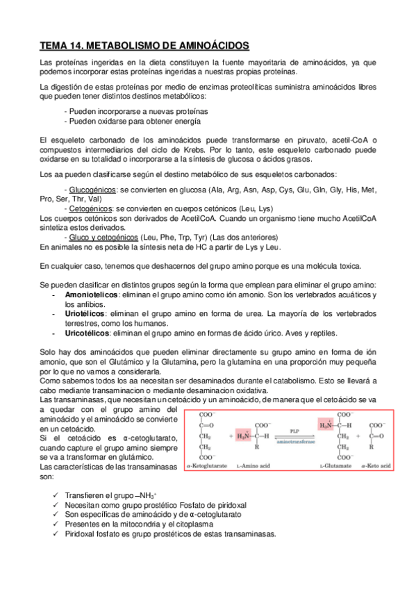 Miniatura del documento Tema-14FundamentosBq.pdf