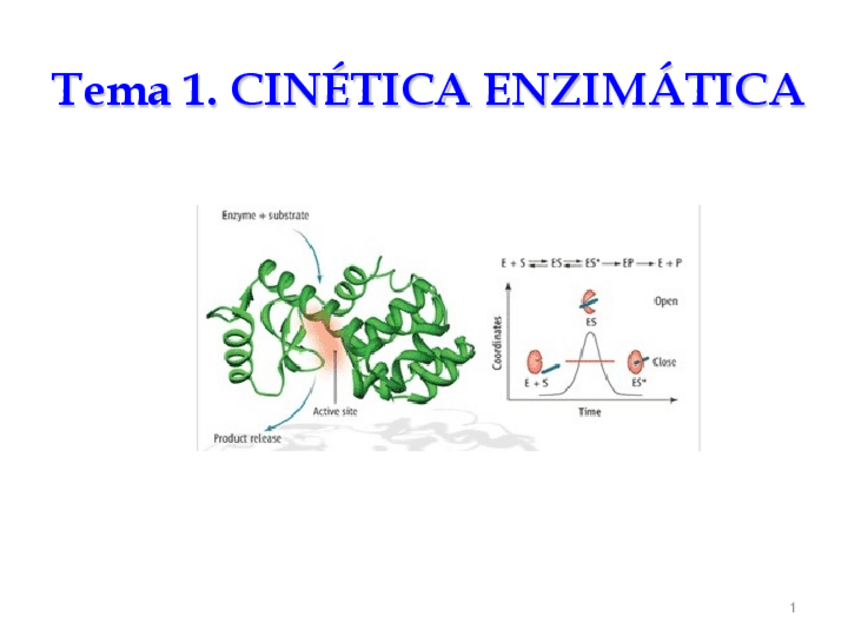 Miniatura del documento Tema-1-Enzimologia.pdf