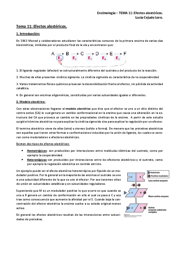 Miniatura del documento Tema-11.-Enzimologia.pdf
