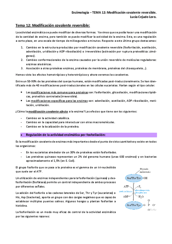 Miniatura del documento Tema-12.-Enzimologia.pdf