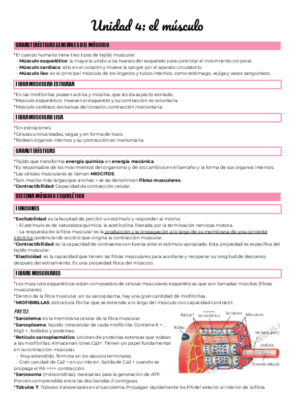 Miniatura del documento Unidad-4-el-musculo.pdf