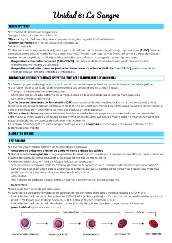 Miniatura del documento Unidad-6-La-Sangre.pdf