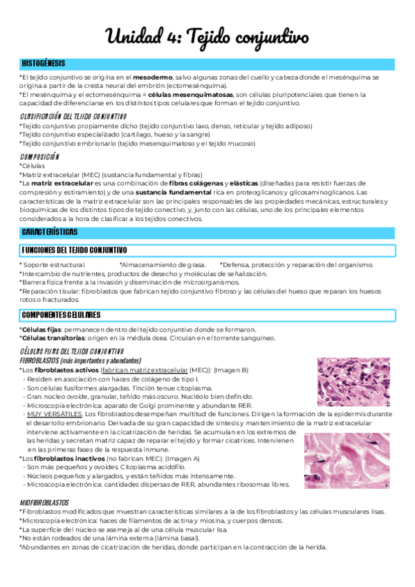 Miniatura del documento Unidad-4-Tejido-conjuntivo.pdf