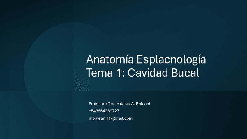 Miniatura del documento tema-1-MAB.pdf