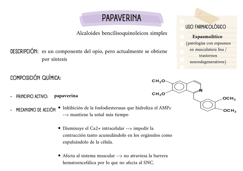 Miniatura del documento Drogas-Alcaloides-derivados-de-phe-y-tyr.pdf