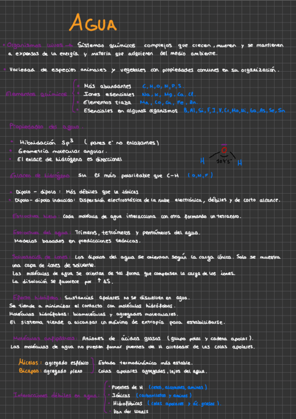 Miniatura del documento 1.pdf