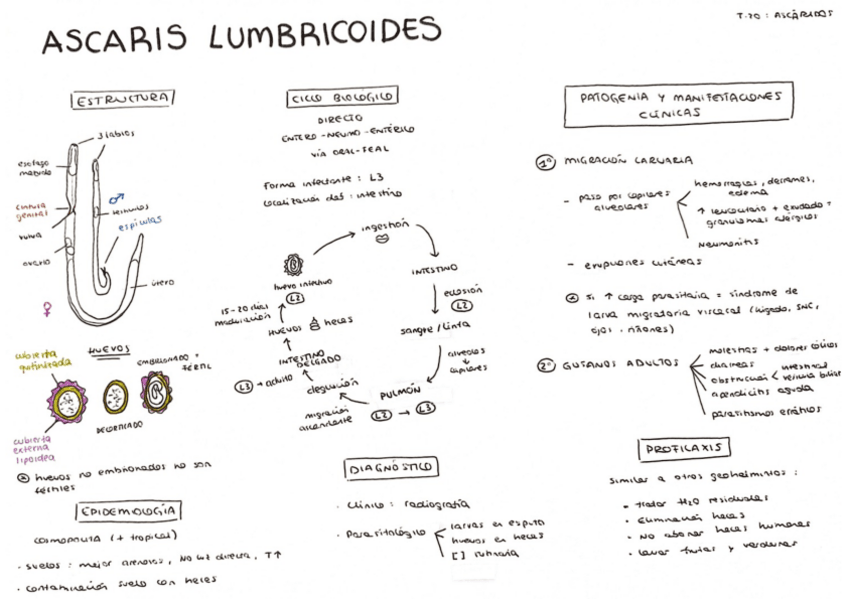Miniatura del documento Tema-20.pdf