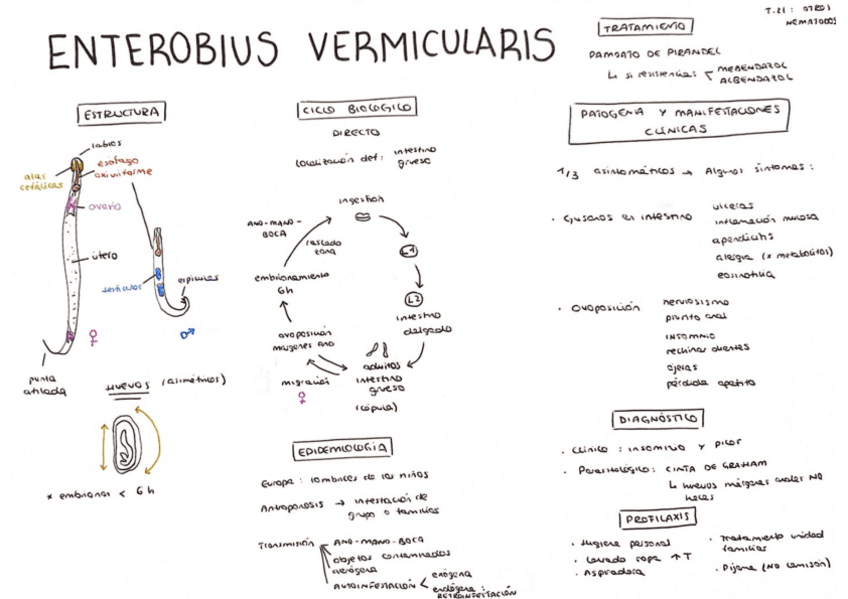 Miniatura del documento Tema-21.pdf