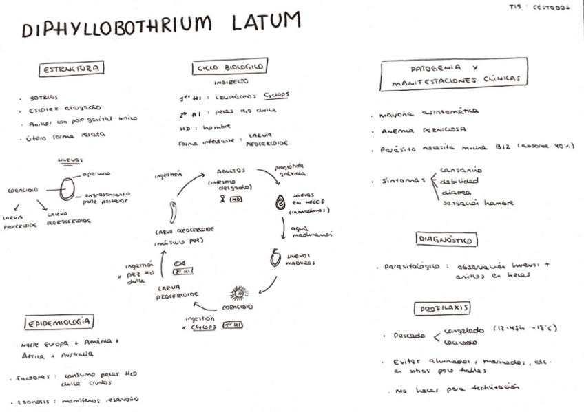 Miniatura del documento Tema-15.pdf